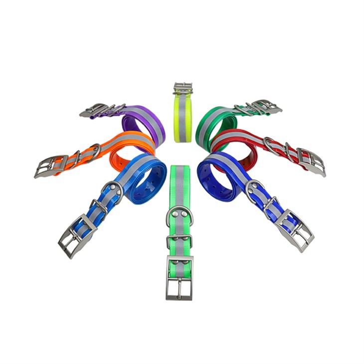 مقود طوق الكلاب الفاخر لصيد الكلاب من TR-Dog